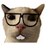 UeOOa-E-K_E-channel-avatar-RoCat