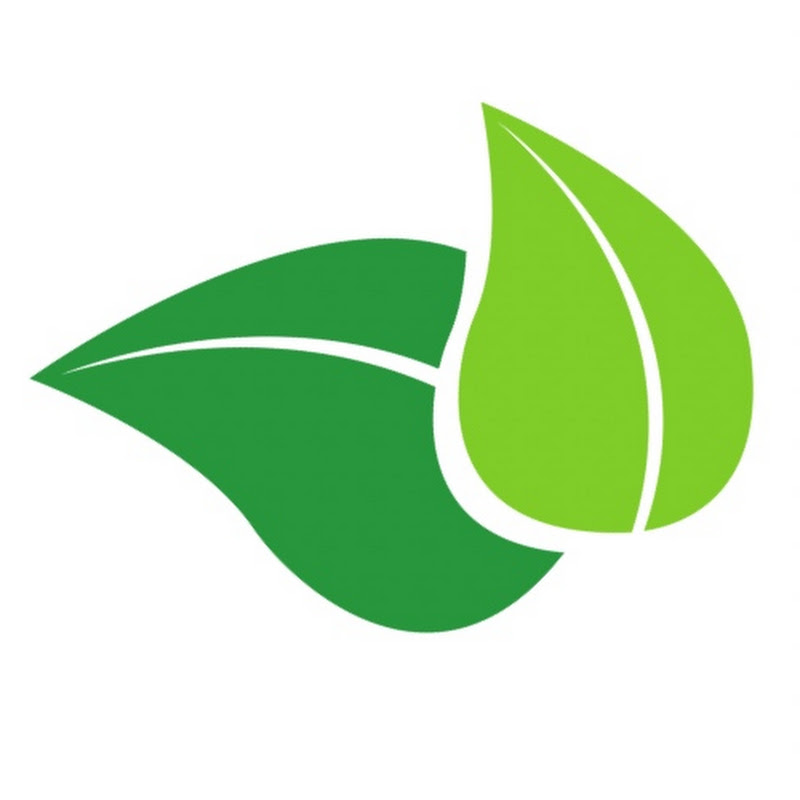 HealthVidz