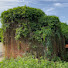 H4JIGDLYQBw-channel-avatar-Lawn-Overgrown