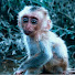 xPCevp5bEbU-channel-avatar-Kluoch TV