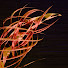 8jVogdTJESw-channel-avatar-Drew's Campfire