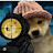 Doge_0880 Play s