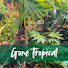 lAjmX1vPrjk-channel-avatar-Gone Tropical 