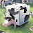 moocube