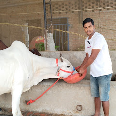 VILLAGE RAMPUR CHANNEL 3.5M