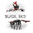 TY_iILRNPUI-channel-avatar-BlazeSky