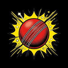 Cricket Multiverse Point 