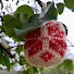 sUKIaTCPLdg-channel-avatar-Intro2MachineKnitting