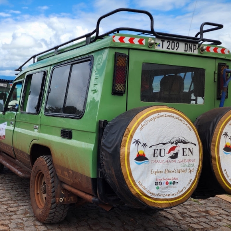 Eugen Tanzania Safaris channel avatar