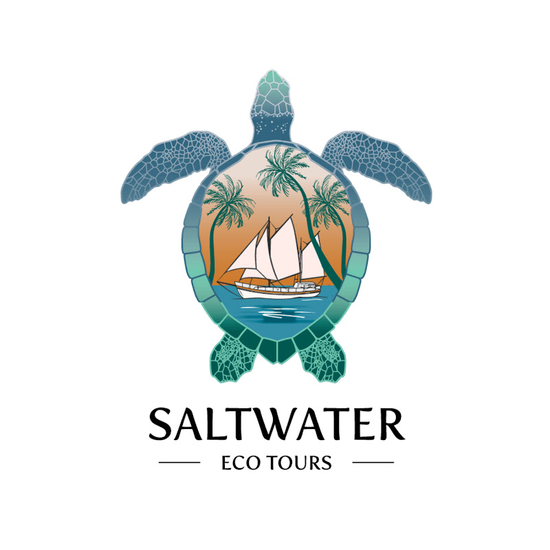Saltwater Eco Tours