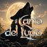 UH_Df700wwU-channel-avatar-il Canto del Lupo
