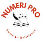 Numeri Pro logo
