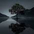 t7IVI_DRSSM-channel-avatar-Wandsworth