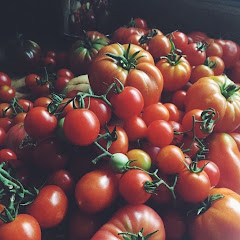 the conscious epicurean