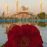 6lHMJMZ0D5I-channel-avatar-M ALI RAZA