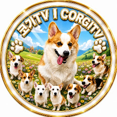 코기TV [먹방라이브] | Corgi TV LIVE