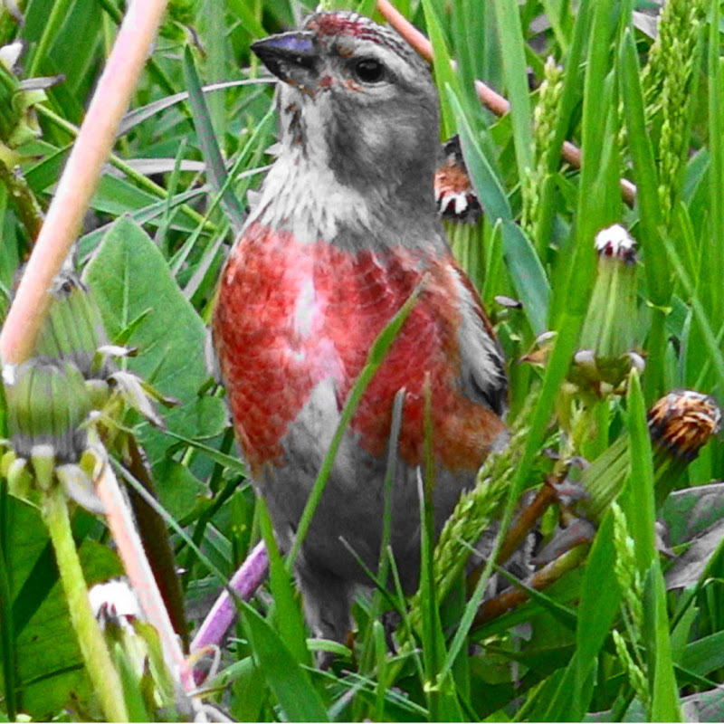 Зинаида Матук