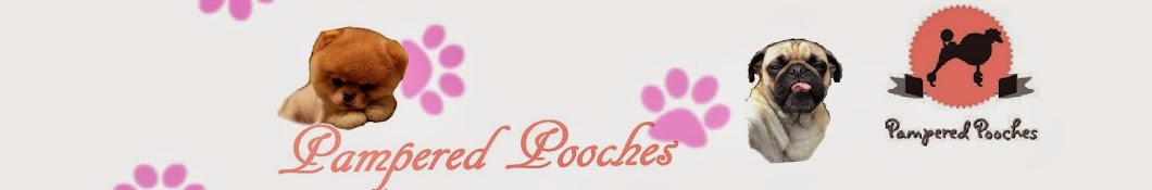 Pampered Pooches Avatar del canal de YouTube