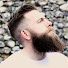Hcfg6zRLMdQ-channel-avatar-Beardster
