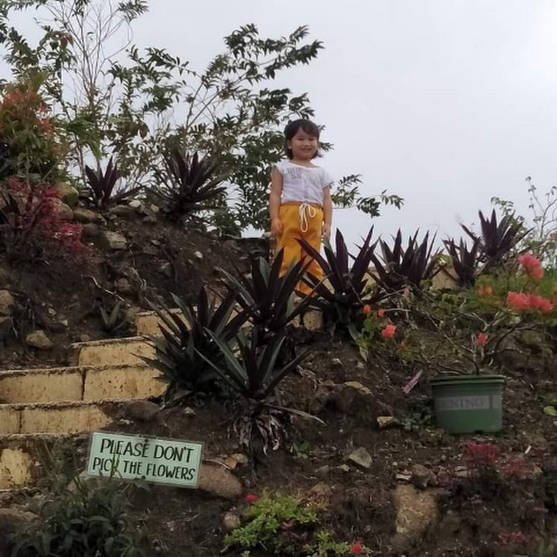 laagan vlog