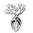 WTRaRakdEZ0-channel-avatar-Heartwood Abyss