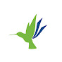 Minute Women Home Care - Dementia Care Specialists Avatar