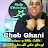 Cheb Ghani - Topic