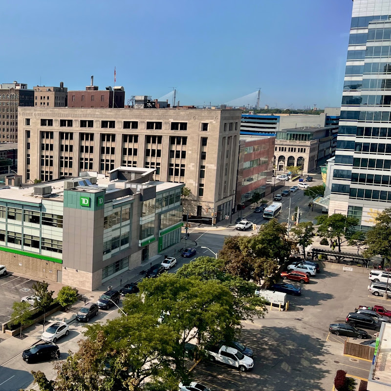 DowntownWindsor logo