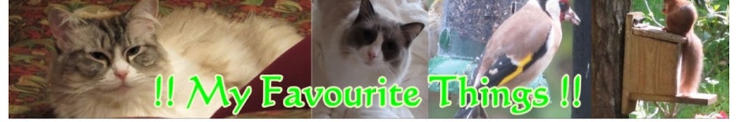 !! My Favourite Things !! YouTube channel avatar