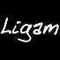 dzoTDkwk4Tw-channel-avatar-Ligam