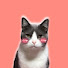 WPLTnx9XSS8-channel-avatar-Noda Reacciona
