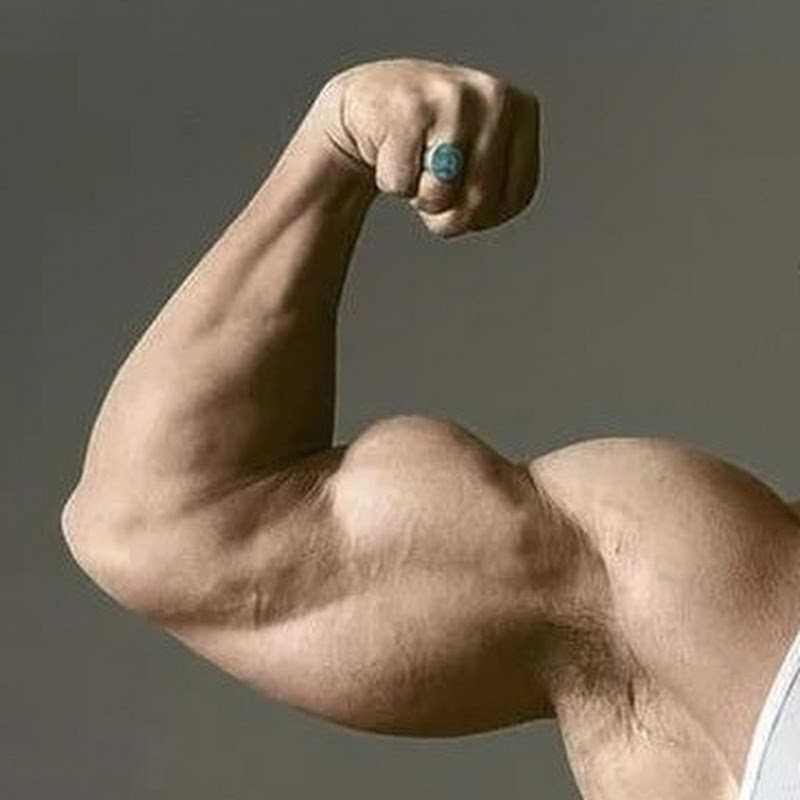 FitXness