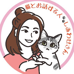 猫と人に癒しを届ける🐾しあわせさんアイコン画像