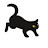 @all_skate Avatar