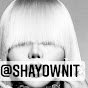 ShayOwnit logo