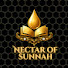 fH-bOc4zYOI-channel-avatar-Nectar of Sunnah