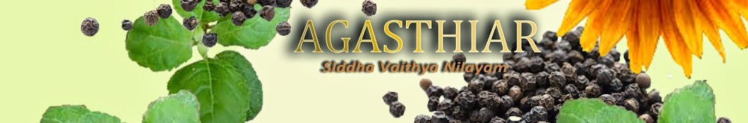 siddha Packiam YouTube channel avatar
