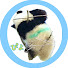 QA36_Ijzs5A-channel-avatar-ぴよZOO