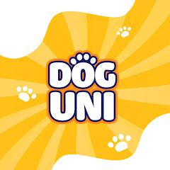 Dog Uni net worth