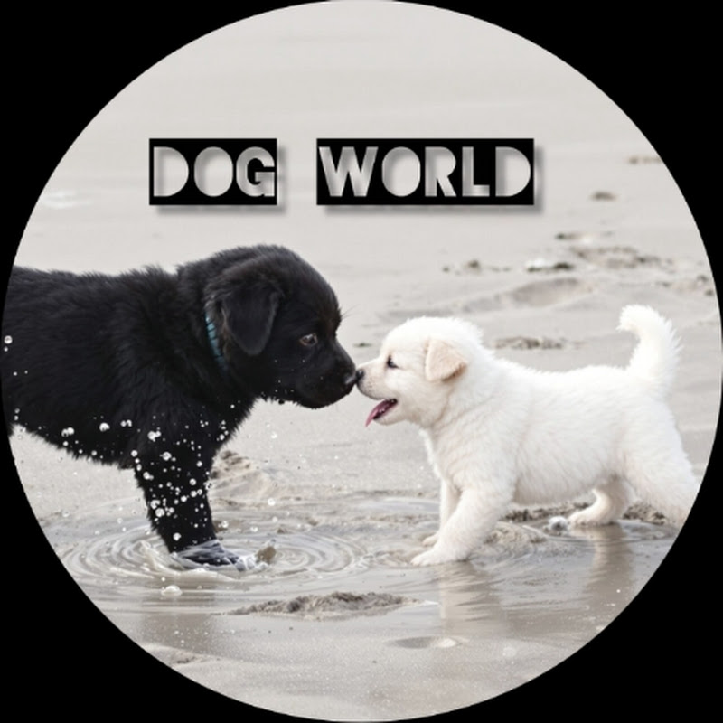 Dog World