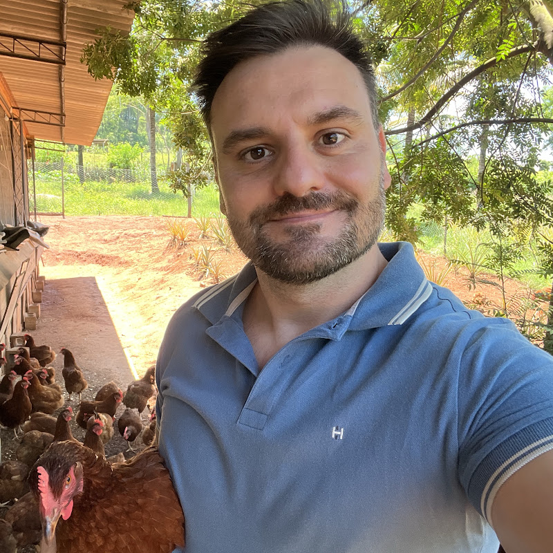 DE 50 GALINHAS POEDEIRAS PARA O ARRENDAMENTO DA ÁREA DE 20.000 AVES