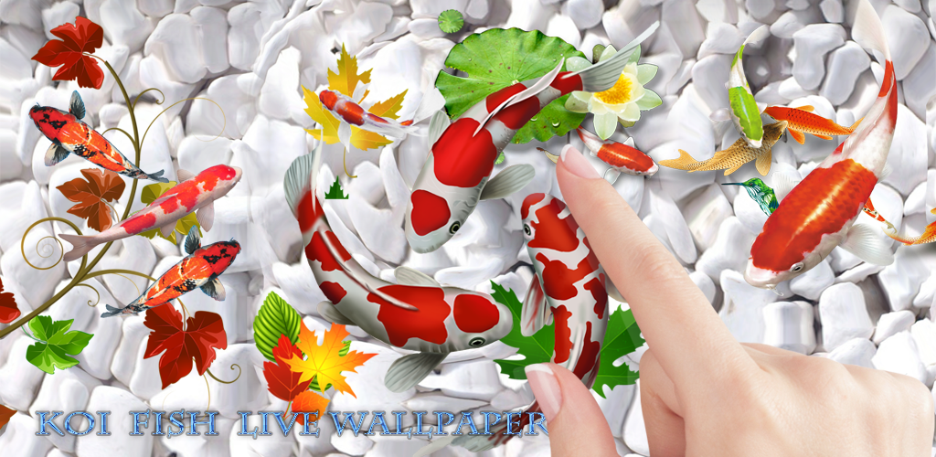 Live Wallpaper 3d Software Image Num 76
