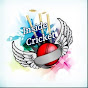 Inside Cricket logo