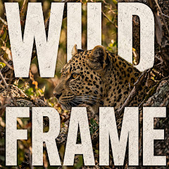 wild-frame237
