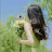 @BonBon00-ci8tm