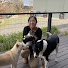 D3cbw6D2-pw-channel-avatar-MamilyLand - 単身オーストラリア移住を叶えたアラフィフ女がお届けする犬猫とのリアルライフ