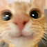 Q-Dn2GYMqwY-channel-avatar-KnightTimeASMR