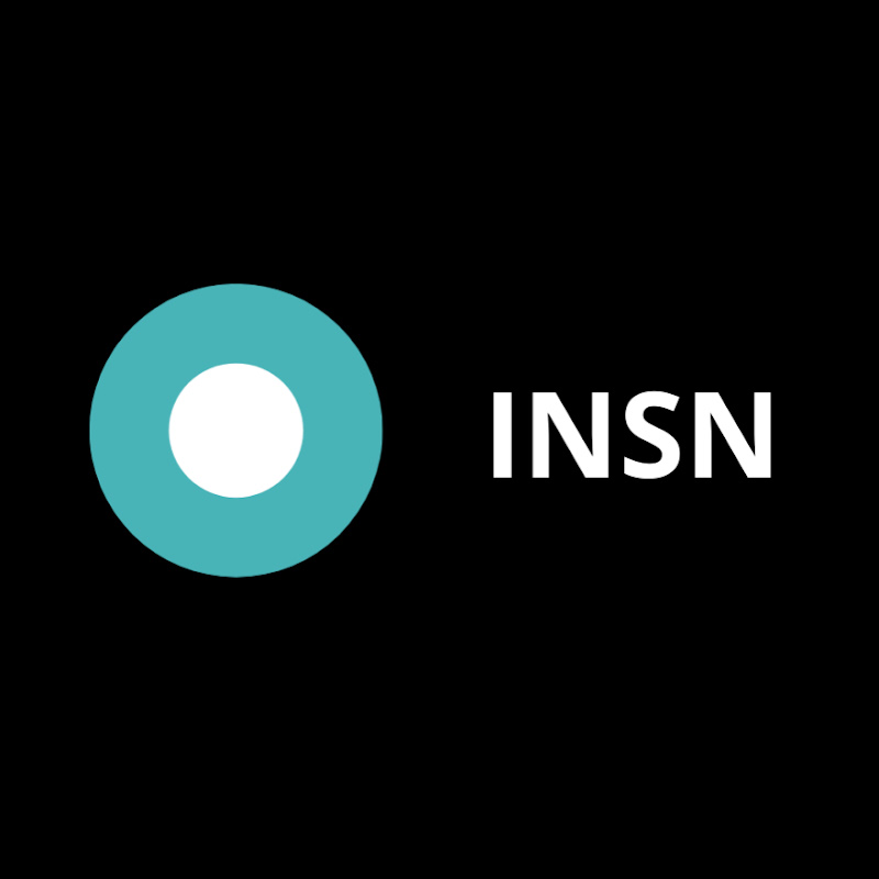 INSN