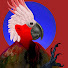 aSD0ASqnrgA-channel-avatar-fCTI