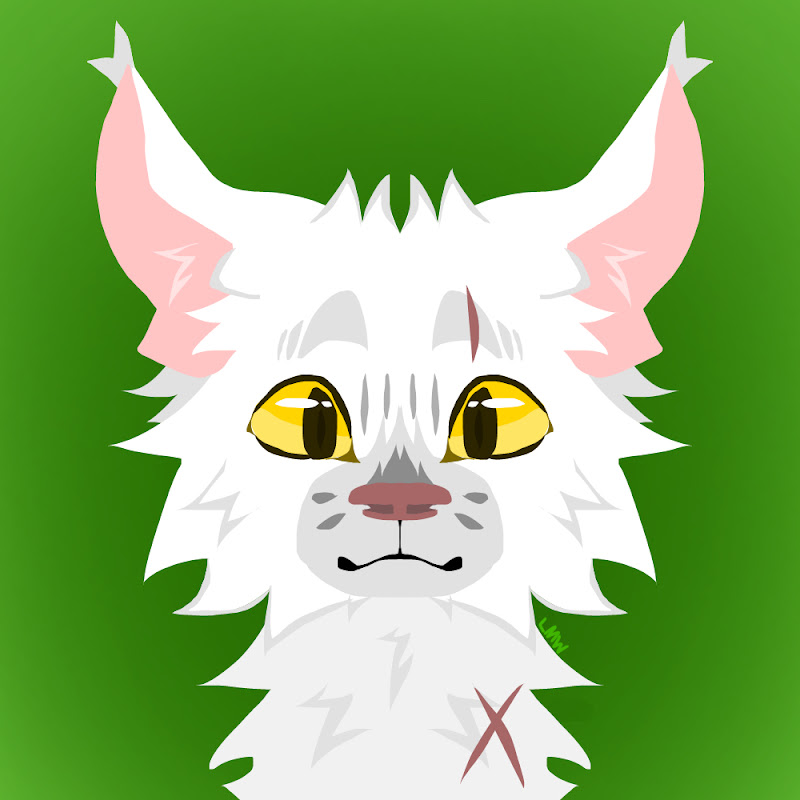 𖤐 𝐜𝐞𝐫𝐛𝐞𝐫𝐮𝐬 𐂯↟